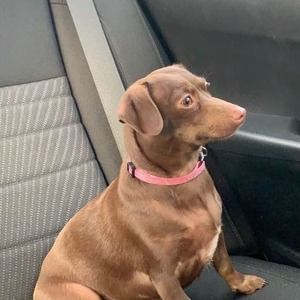 Meet your Posher, Detra